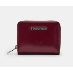 SMALL WALLET STRADIVARIUS