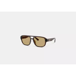 PILOT SUNGLASSES COACH
