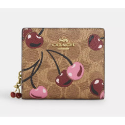 Snap Wallet In Signature...