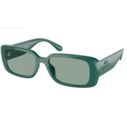 LENTES DARK OLIVE DRAB